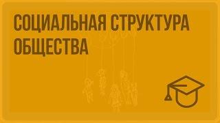 Социальная структура общества. Видеоурок по обществознанию 8 класс