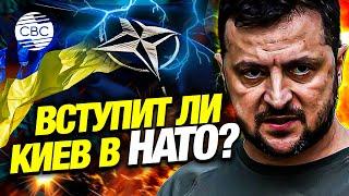 Это заявление Зеленского встревожило США: союзники не хотят пускать Украину в НАТО