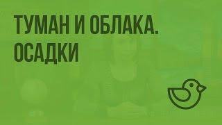 Туман и облака. Осадки. Видеоурок по окружающему миру 3  класс