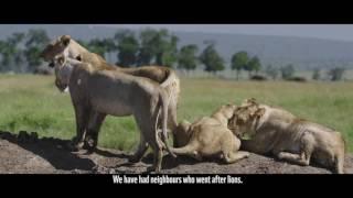 WWF Kenya lions subtitled V3