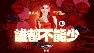 DJ字幕版⇱谁都不能少 2023⇲ Yanis林燕婷 ft. MKJERRY Official REMIX