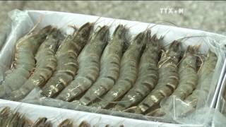 Seafood exports set to top 7 billion USD this year