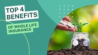 Top 4 Benefits for Whole Life Insurance | ANGyL Finance
