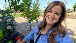 Planting 5 Trees & Hanging Baskets Using New (for 2026) Annuals!  // Garden Answer