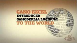 The Evolution of Coffee Gano Excel