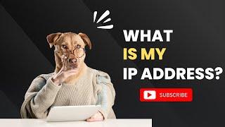 WHAT IS MY IP?