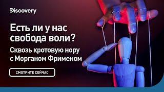 Есть ли у нас свобода воли? | Сквозь кротовую нору с Морганом Фрименом | Discovery