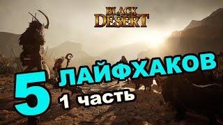 Black Desert (MMORPG - ИГРЫ) -  Лайфхаки, секреты, фишки в BDO 