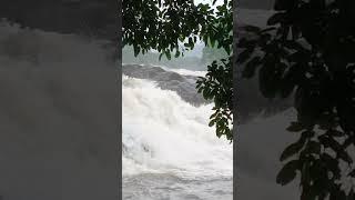 Vazhachal waterfall #athirapally#amazing #travel #waterfall#tourism @TheDaily.Wanderer