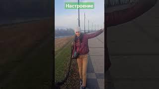 #волгоград #россия #красноармейский район #набережная