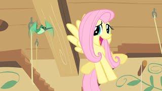 Dr. Fluttershy