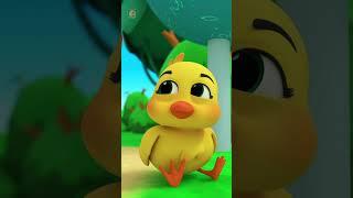 Five Little Ducks Song For kids #Shorts #kidsapp #nurseryrhymes #kidssongs #music