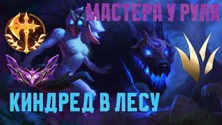 МАСТЕРА У РУЛЯ Обзор игры мастера за Киндред // НЕ ГАЙД на Киндред // Kindred vs Brand