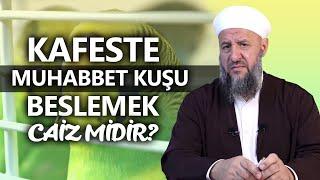 Kafeste Muhabbet Kuşu Beslemek Caiz midir? | İsmail Hünerlice Hoca