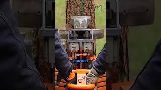 Fully automatic tree branch cleaning machine #knowledge #mechanical #popularscience