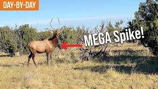 That's the BIGGEST Spike I've Ever Seen! | Arizona Elk (EP.1)