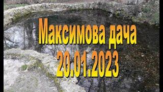 Максимова дача 20 января 2023