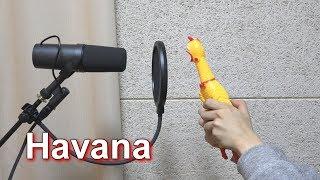 Camila Cabello - Havana 'Chicken Cover'