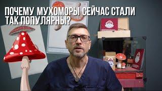 Откуда взялся тренд на мухоморы? | МухоморыЧ