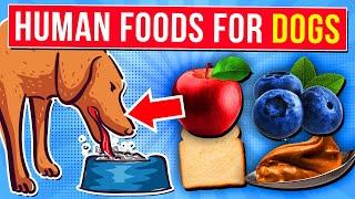 14 HEALTHY Human Foods You Can SHARE With Your Dog!
