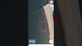 Sarpend d'ocean  search on map world biggest snake scaliton