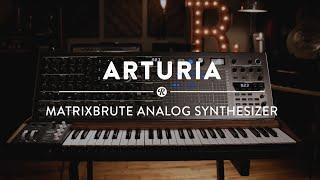 Arturia MatrixBrute Analog Synthesizer | Reverb Gear Demo