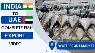 How to Export Seafood & Fish | How to Export Seafood | Fish Export Business |