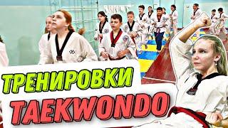 TAEKWONDO, НЕРЕАЛЬНЫЕ ТРЕНИРОВКИ #Taekwondo #Тхэквондо