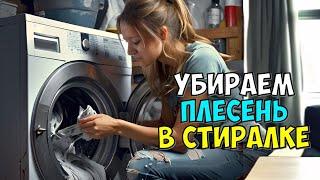 КАК ЛЕГКО УБРАТЬ ПЛЕСЕНЬ С РЕЗИНЫ СТИРАЛЬНОЙ МАШИНЫ