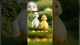 duck video dance A rum sum #viralvideo #shortvideo #trendingshorts