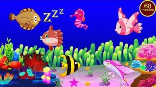 Bedtime Lullabies and Calming Undersea Animation Baby Lullaby#Baby sleep music stv#03