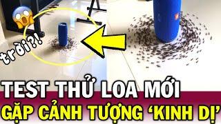 Thấy hàng trăm con kiến đi VÒNG TRÒN đến C.HẾT, thanh niên SỢ HÃI điềm KHÔNG MAY | Tin Việt Độc Lạ