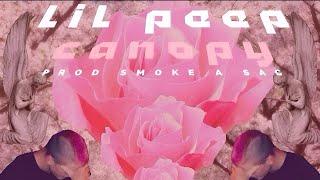 Lil Peep - canopy (prod. smokeasac)