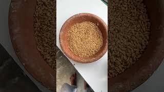#kabutar #kabootarba #kabootar Lover ️️️️️
