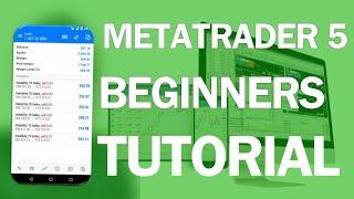 Metatrader 5 Tutorial For Beginners (Complete Guide)