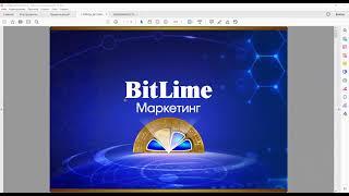 BitLime. Возможности маркетинга, - быстро стать миллионером. Елена Чепилина.