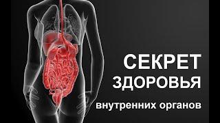 Секреты здоровья внутренних органов