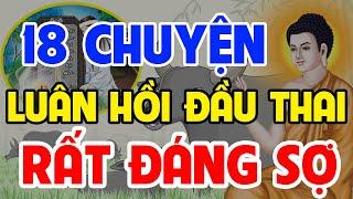 18 Chuyện Nhân Quả Phật Giáo Hay Nhất, Về Luân Hồi Chuyển Kiếp Đầu Thai Làm SÚC SANH Rất KHỔ SỞ ...