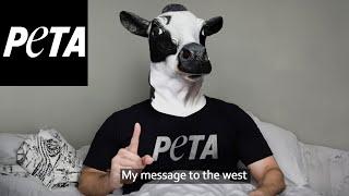 The Cult of Peta...