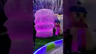 full desi program
