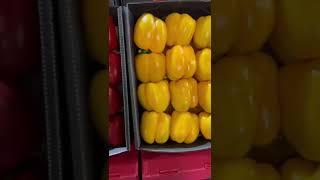 amazing fruits удивительные фрукты от Марченко Lorado Иран Азербайджан Сирия Фуд Сити #Shorts