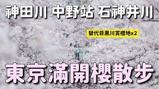 東京櫻花 目黑川大修剪不壯觀可去哪？神田川面影橋 中野站天橋西武電車櫻花 石神井川｜日本旅遊 4K VLOG