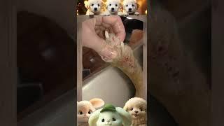 Mangoworm Removal Compilation, Rescue Dog Mangoworms, Vet Mangoworm Treatment ️