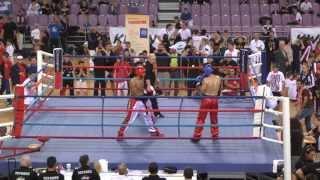 WKU World Championships Heraklion Crete 2013 Finals Full Contact Adults male -80kg