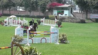 Gonzalo Moran  y  REFLET  D  ANGE  1 35 m Gran Premio Ciuda de Lima  18  Oct 2014