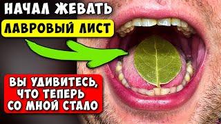 Просто начал ЖЕВАТЬ Лавровый лист по 2-3 мин! Вот что вышло через 7 дней употребления