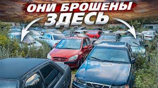 Путь к M5. Бросили 160 Автомобилей в Лесу. Купил Приора 2 ЛЮКС в Разбор