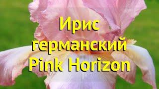 Ирис германский Розовый Горизонт. Краткий обзор, описание характеристик iris germanica Pink Horizon