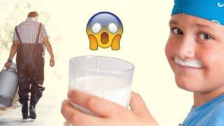 PLANT vs DAIRY MILK: Comprehensive Overview of the Facts