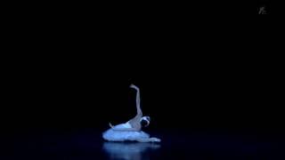 Ulyana Lopatkina: The Dying Swan